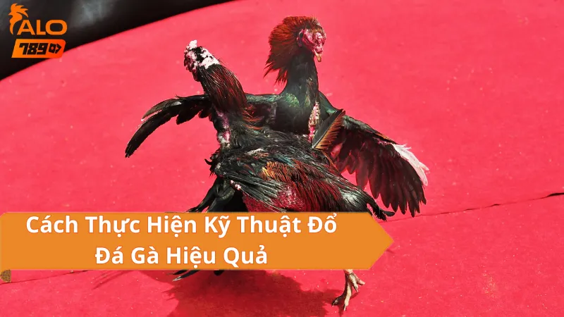 Các Loại Hình Đá Gà Thomo Campuchia