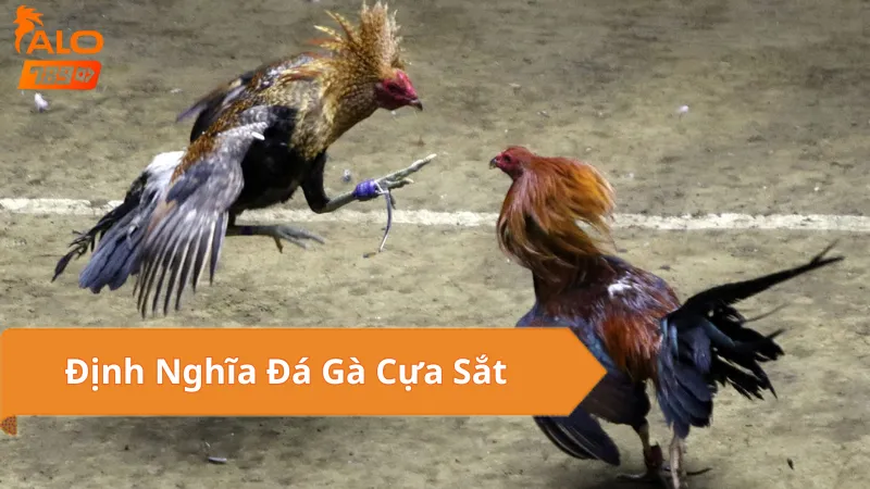 Đá Gà Cựa Sắt